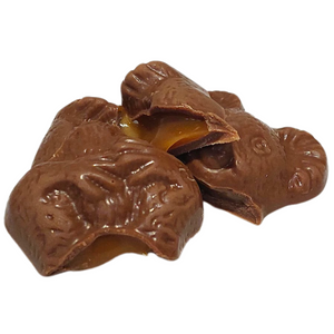 Salted Caramel filled Koalas 2 pack