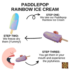 Freeze Dried Paddlepop Rainbow Ice cream