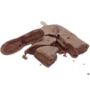 Freeze Dried Paddlepop Chocolate Ice cream