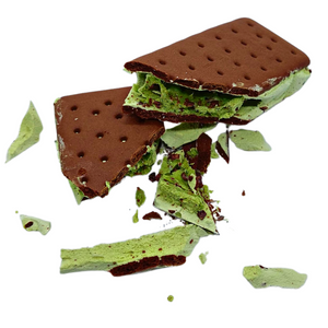 Freeze Dried Ice Cream Sandwich Chocolate and Mint